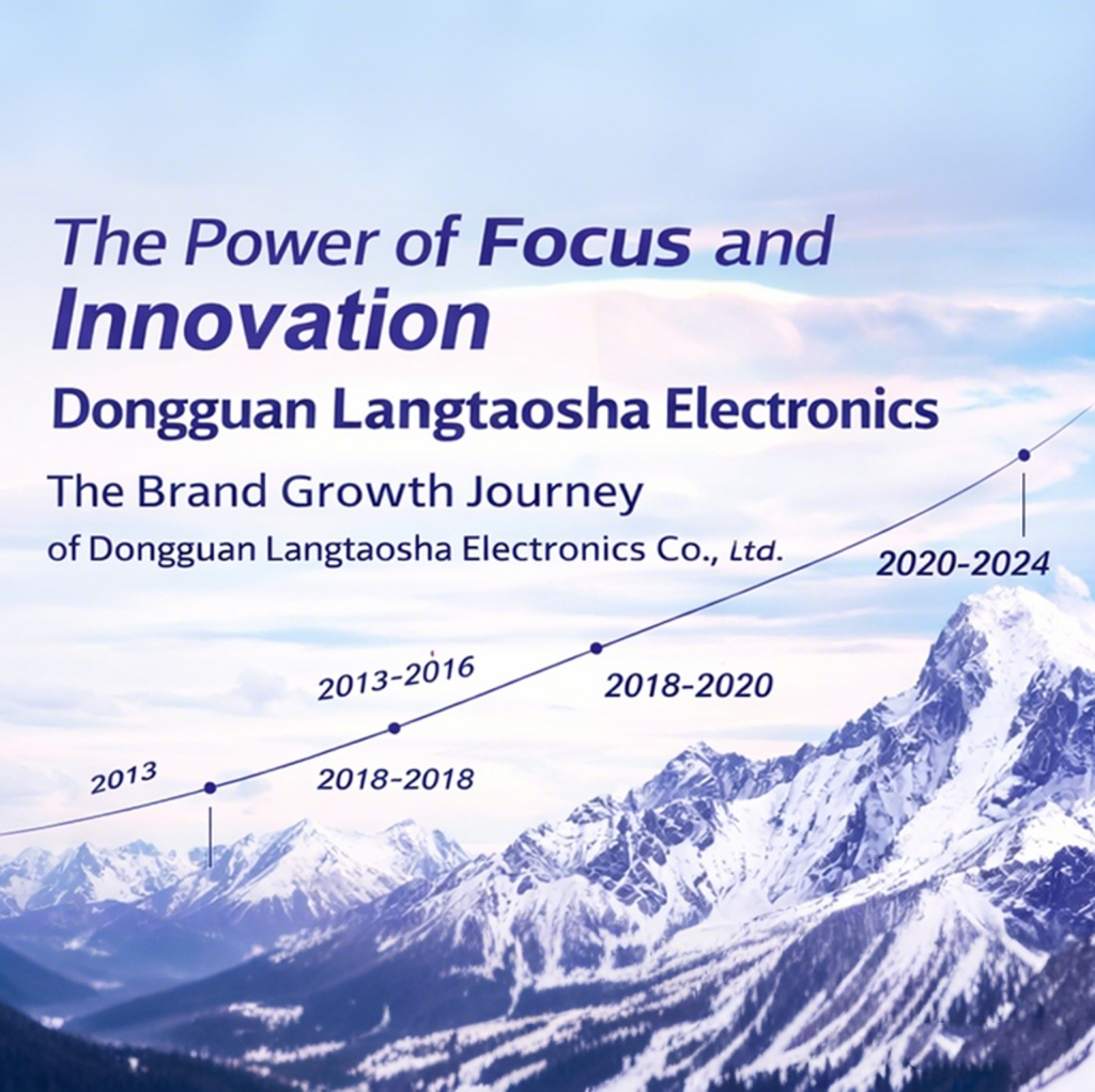 The Brand Growth Journey of Dongguan Langtaosha Electronics Co., Ltd.